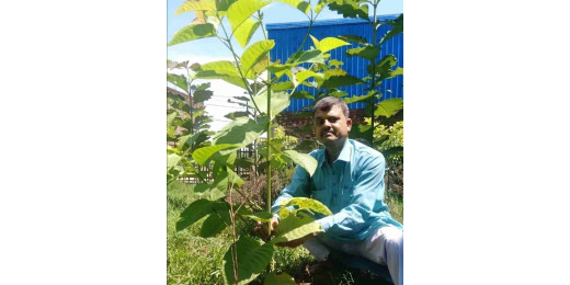 पर्यावरण भारती द्वारा वैश्विक ऊर्जा स्वतंत्रता दिवस पर वृक्षारोपण